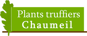 Plants truffiers Chaumeil